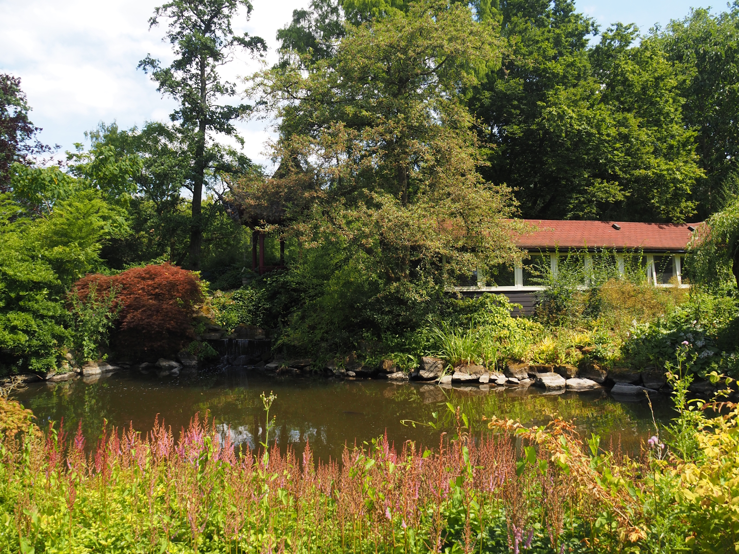 Chinese garden, 2024-06-30