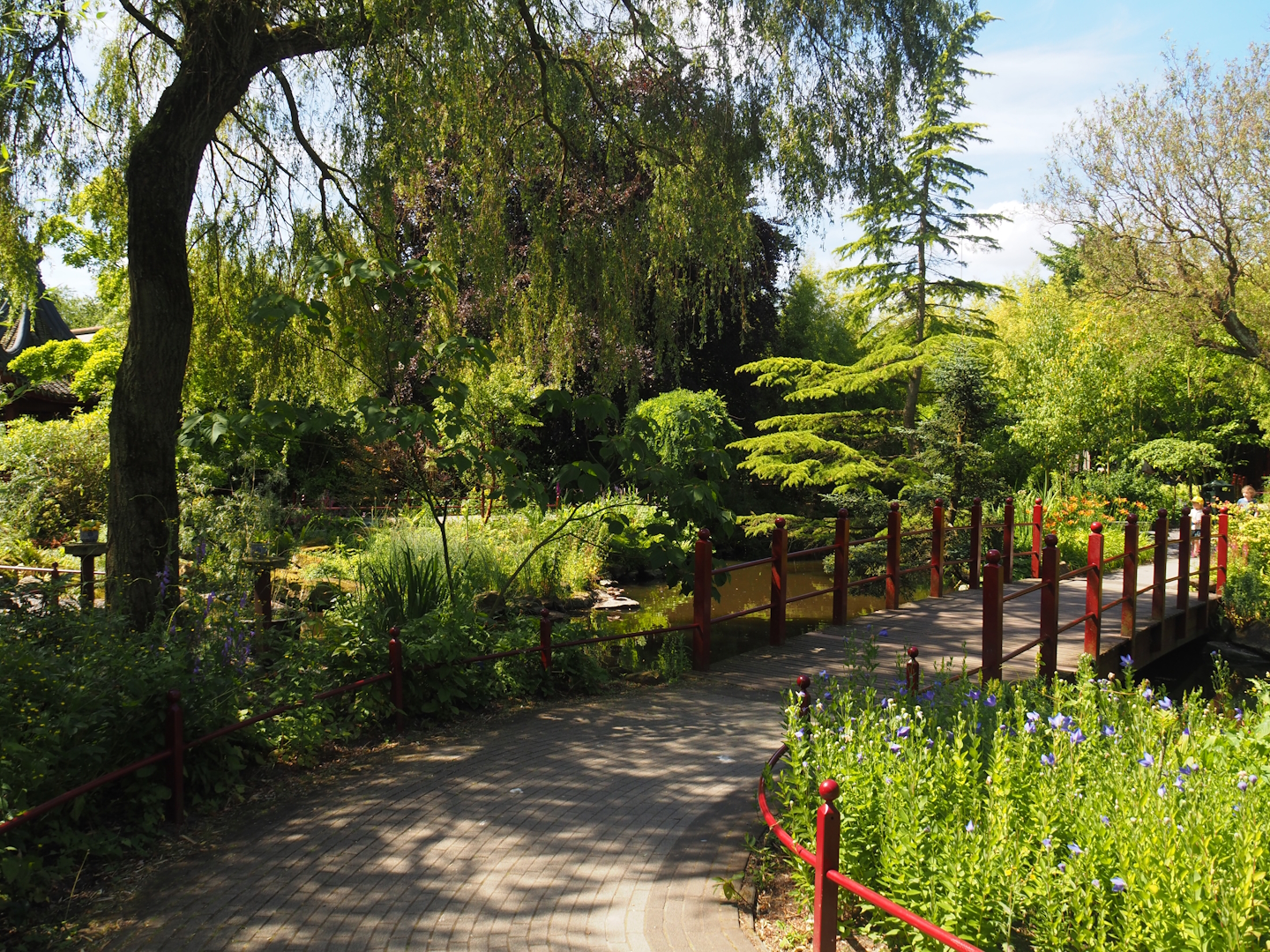 Chinese garden, 2024-06-30