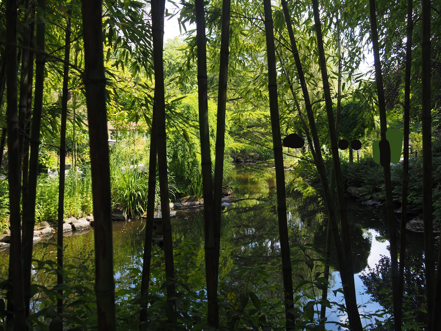 Chinese garden area, seen through bamboos, 2024-06-30