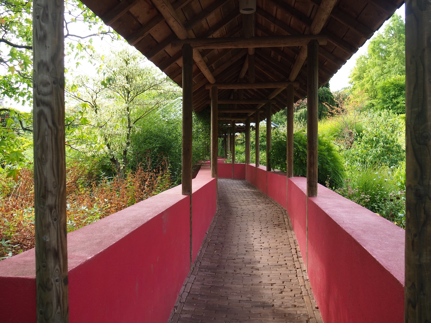 Chinese garden (Aug 28th, 2018)