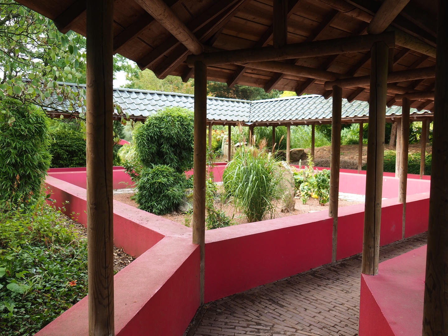 Chinese garden (Aug 28th, 2018)