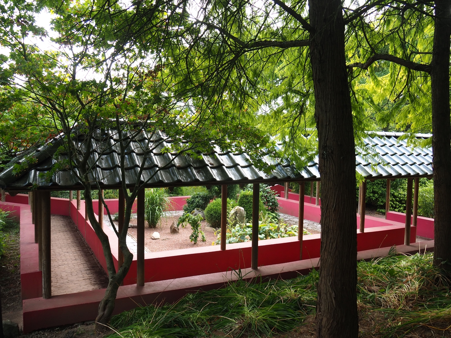 Chinese garden (Aug 28th, 2018)