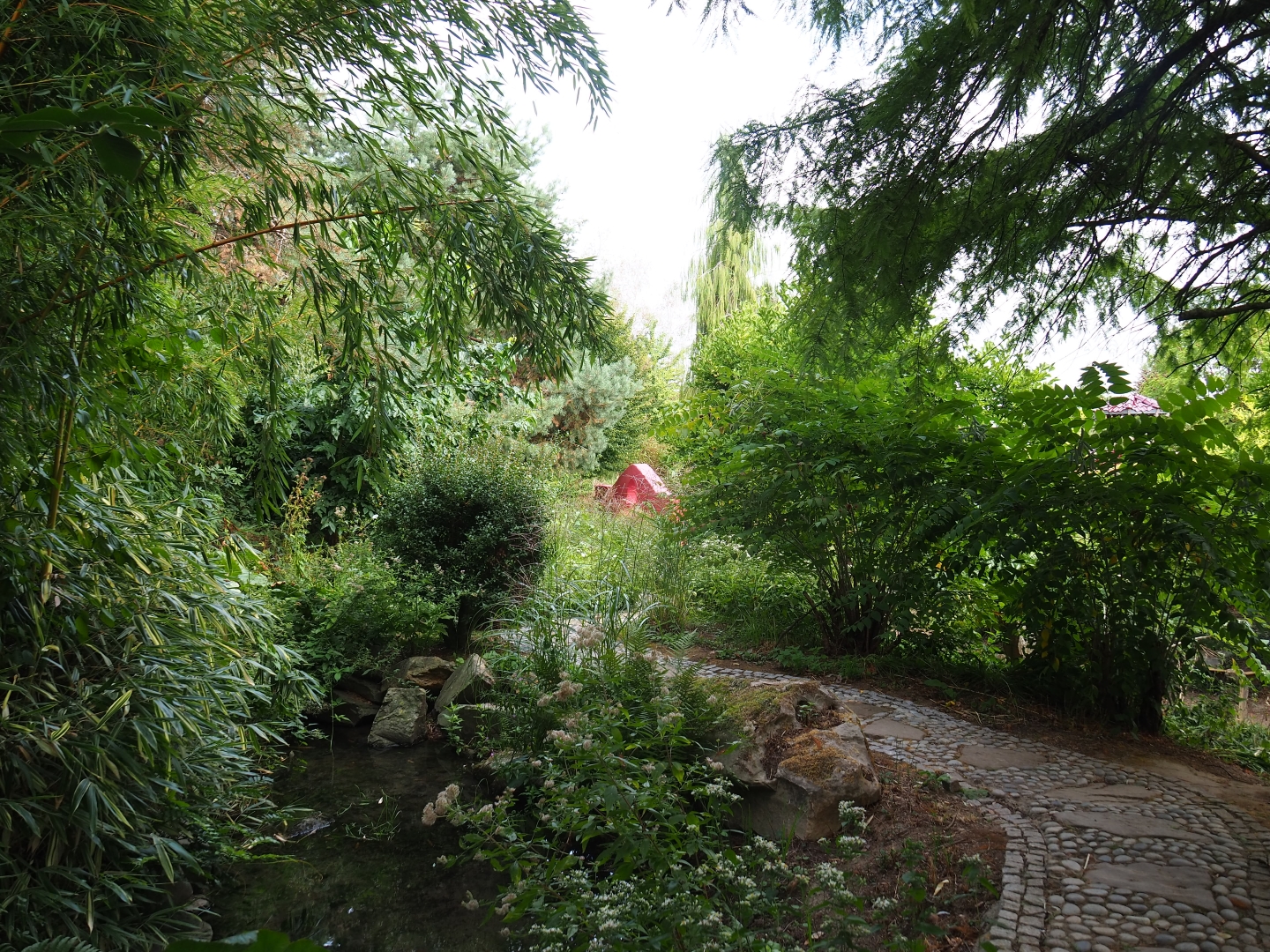 Chinese garden (Aug 28th, 2018)