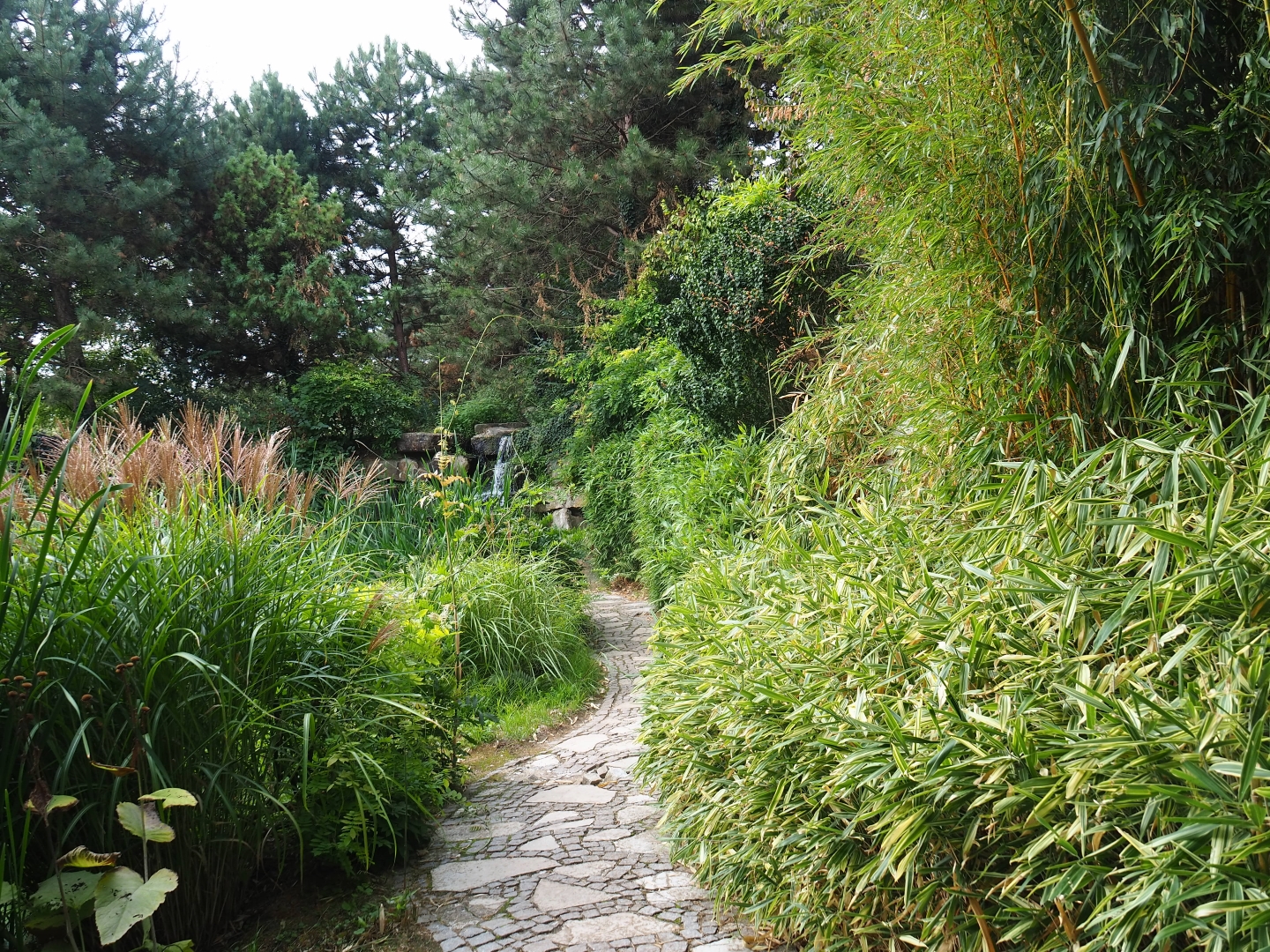 Chinese garden (Aug 28th, 2018)