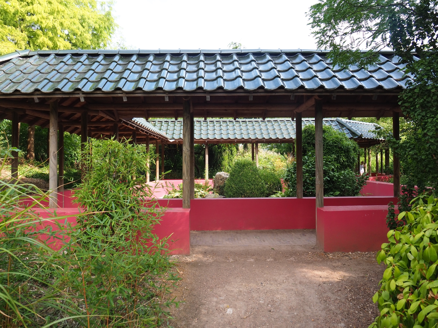 Chinese garden (Aug 28th, 2018)