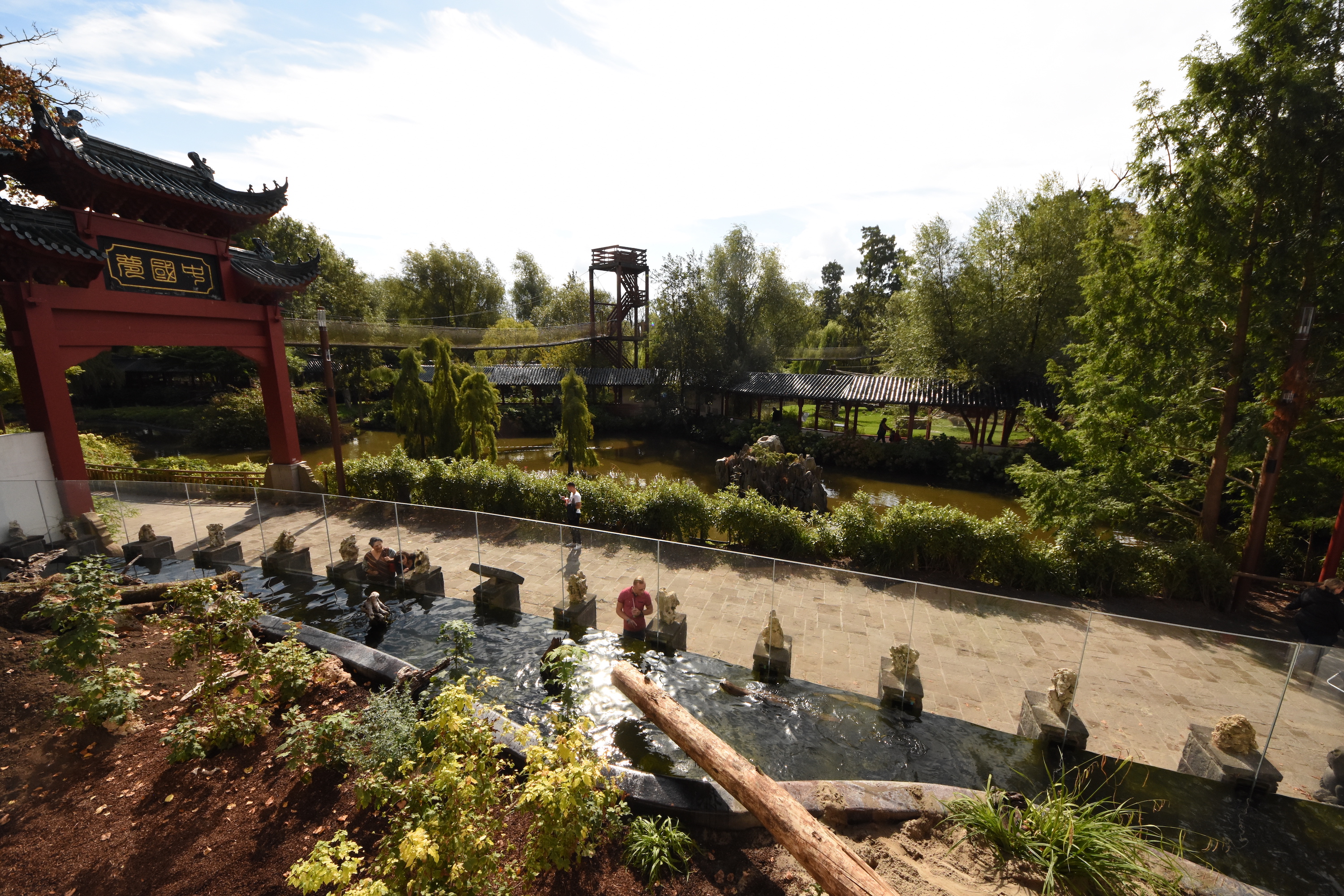 Chinese garden - Giant otters