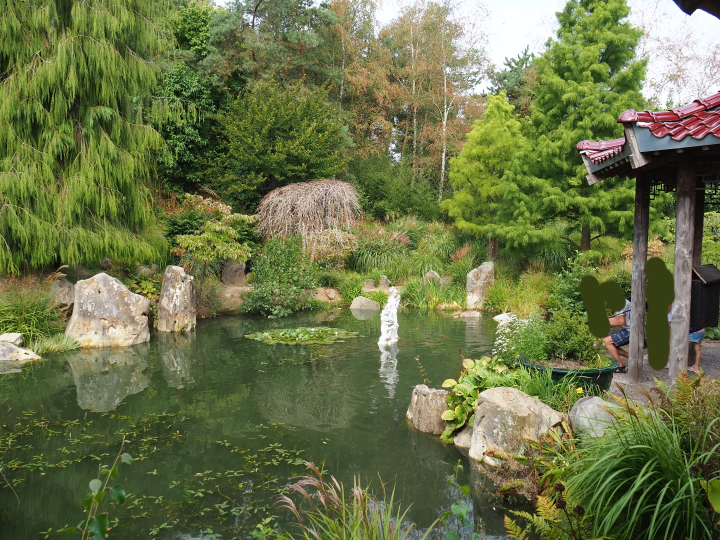Chinese garden koi pond (Aug 28th, 2018)