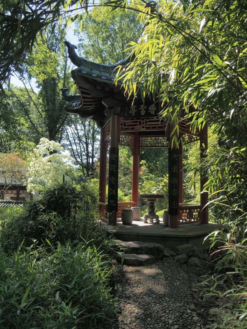 Chinese garden pavilion, 2024-06-08