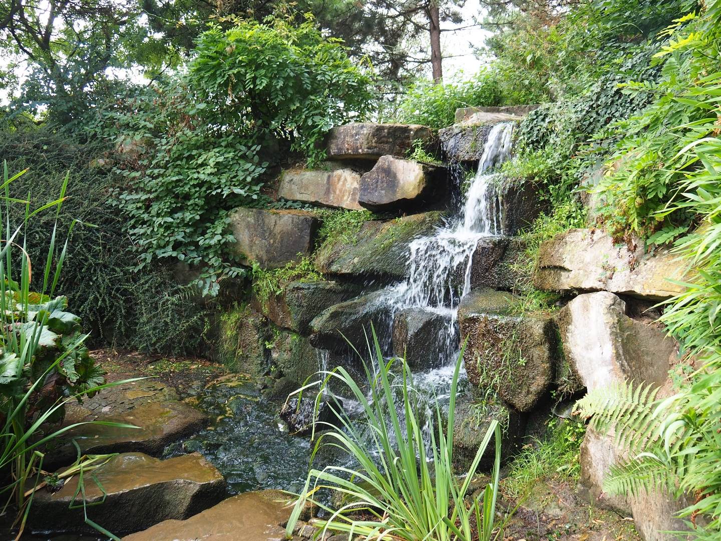 Chinese garden waterfall (Aug 28th, 2018)