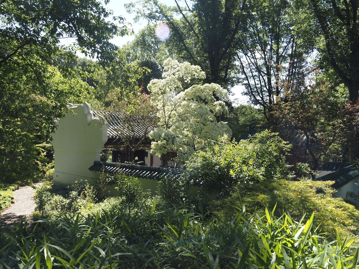 Chinese garden with pavilions, 2024-06-08
