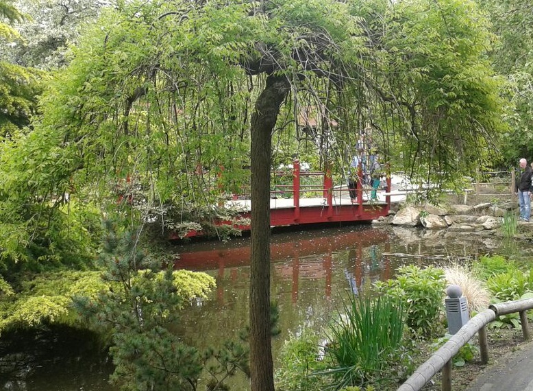 Chinese garden