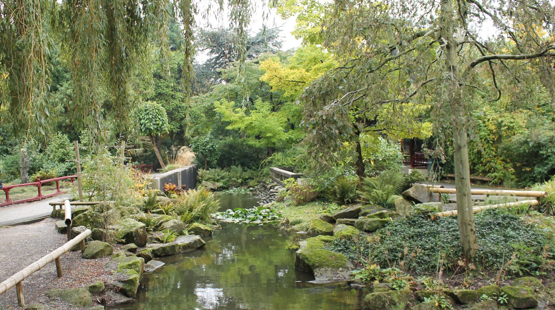 Chinese Garden