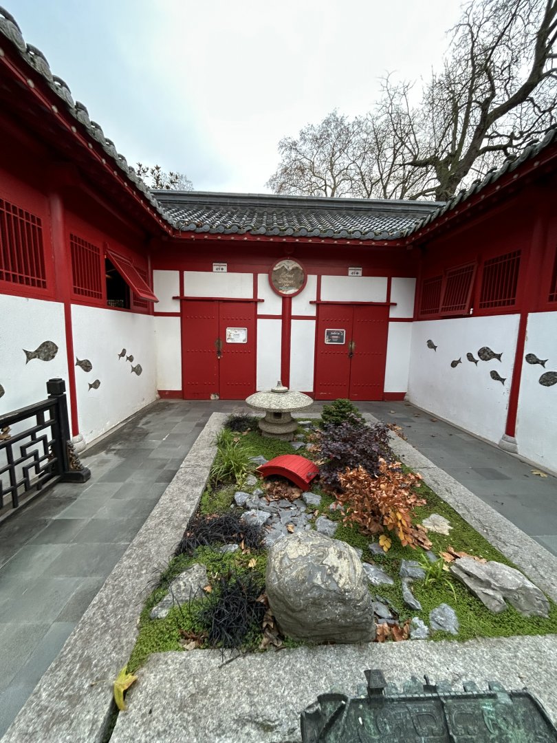 Chinese garden