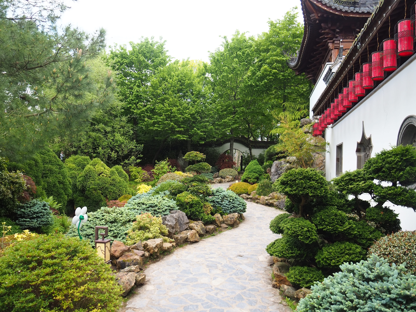 Chinese gardens, 2023-05-16