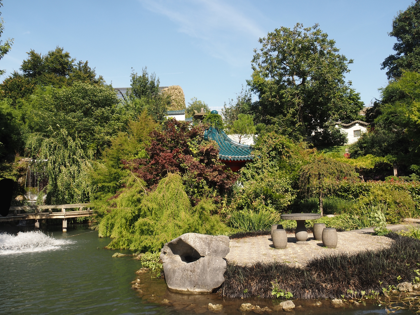 Chinese gardens, 2024-09-17