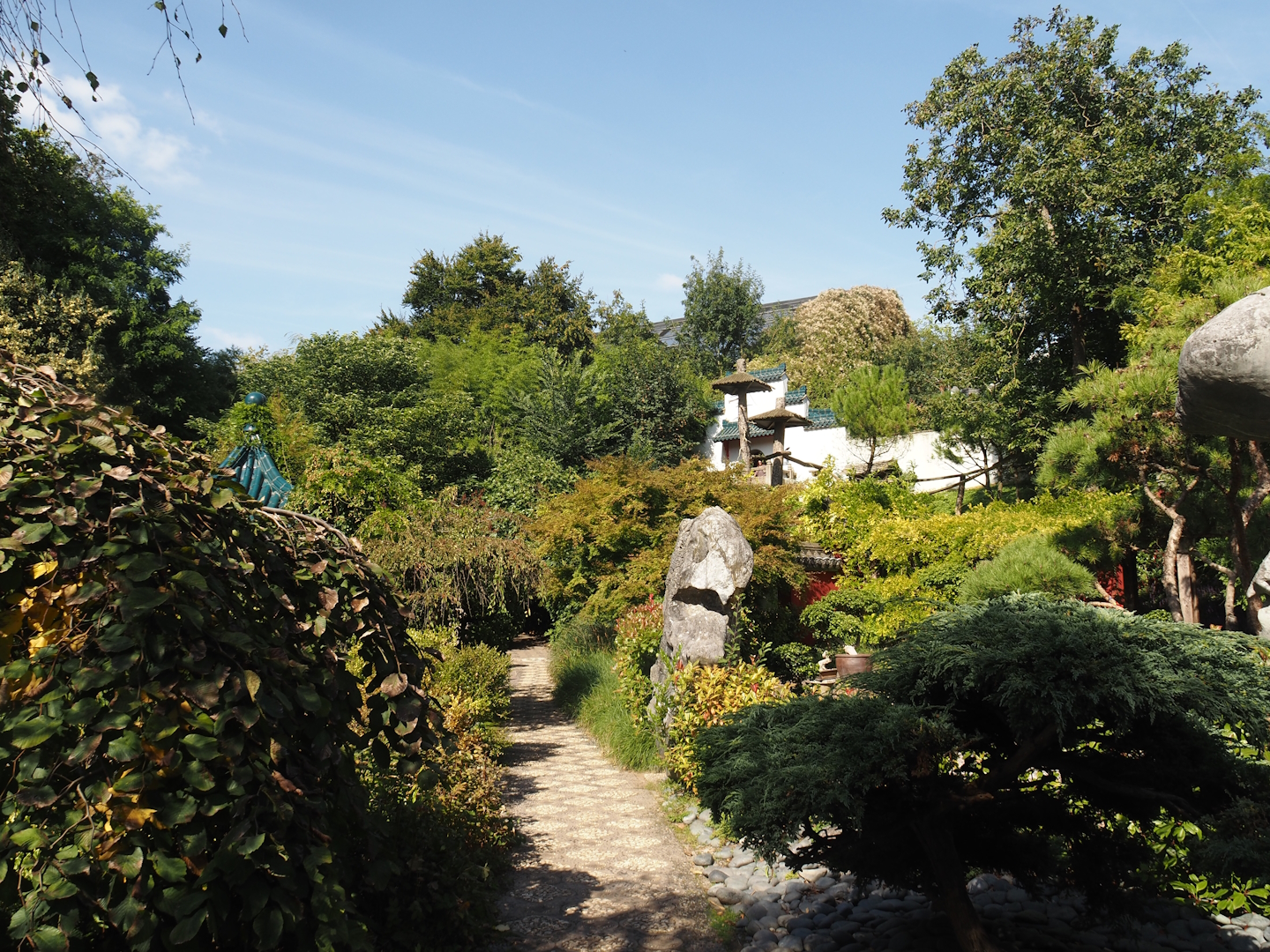 Chinese gardens, with wall of upper red panda exhibit seen in the background, 2024-09-17