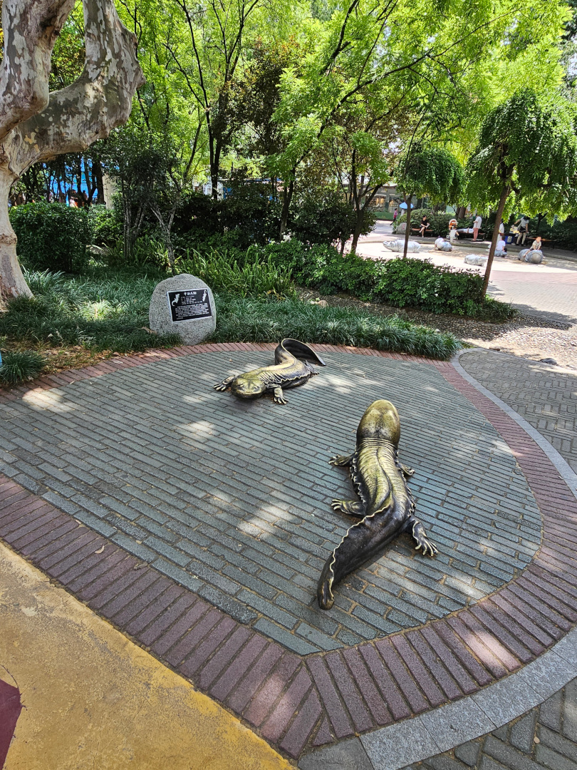 Chinese Giant Salamander statues, 05/2025