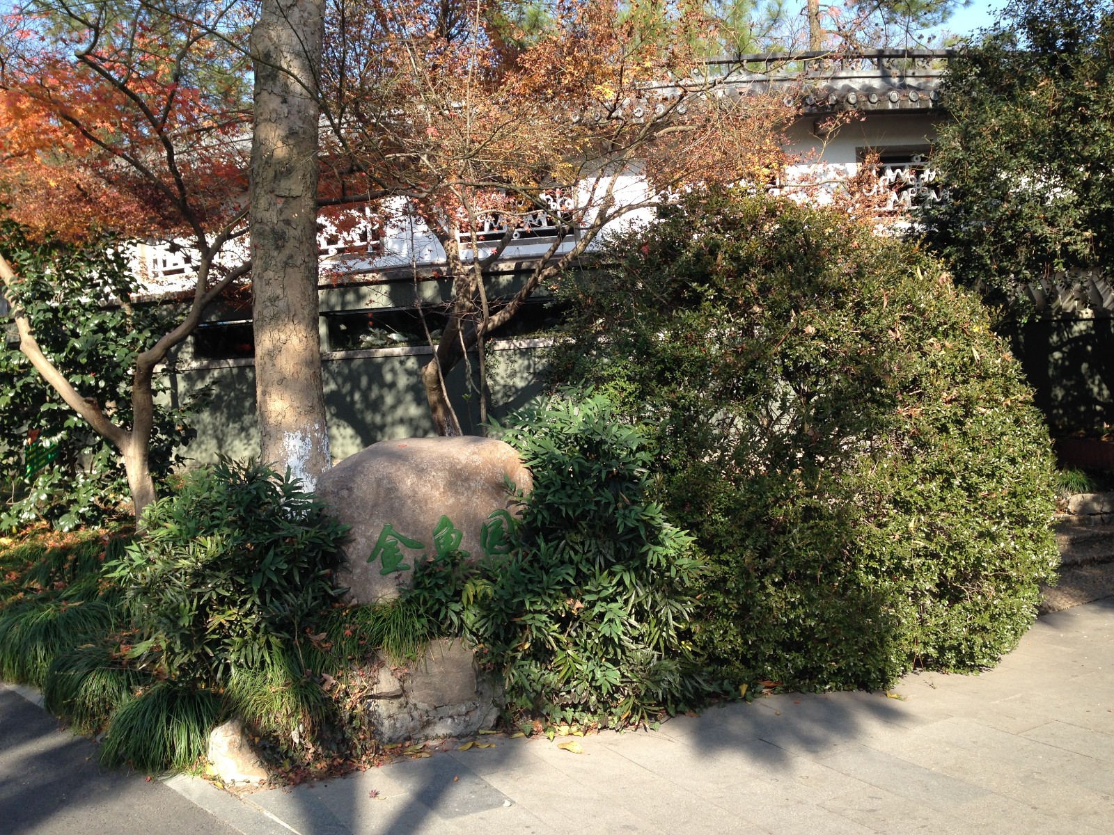 Chinese golden fishes exhibit