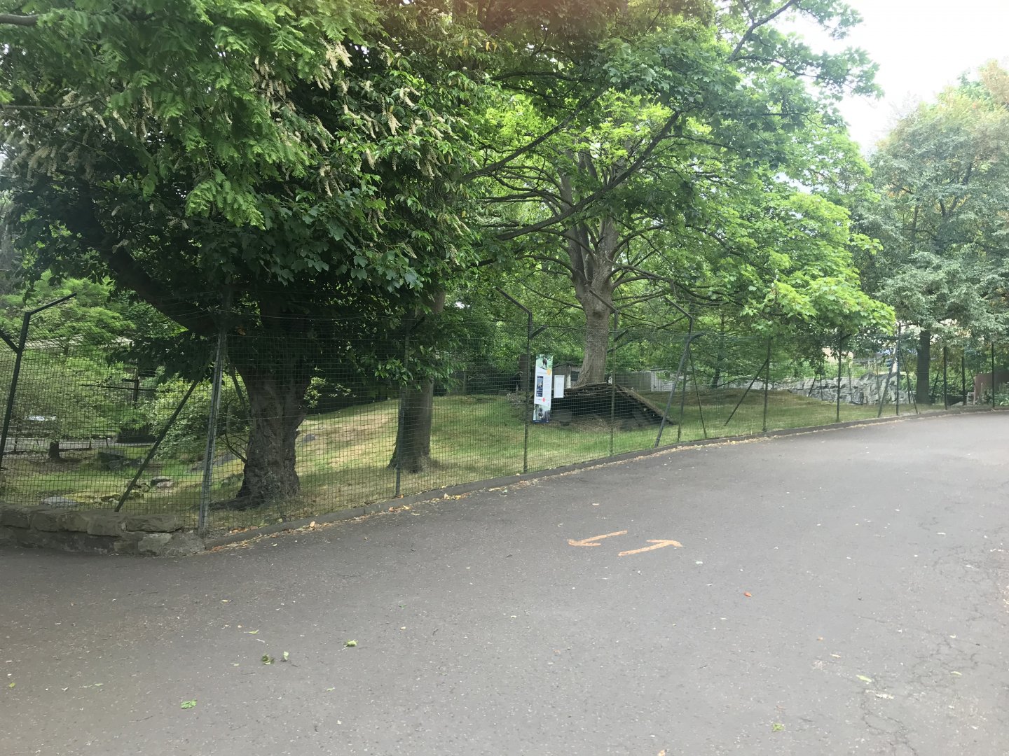 Chinese goral enclosure