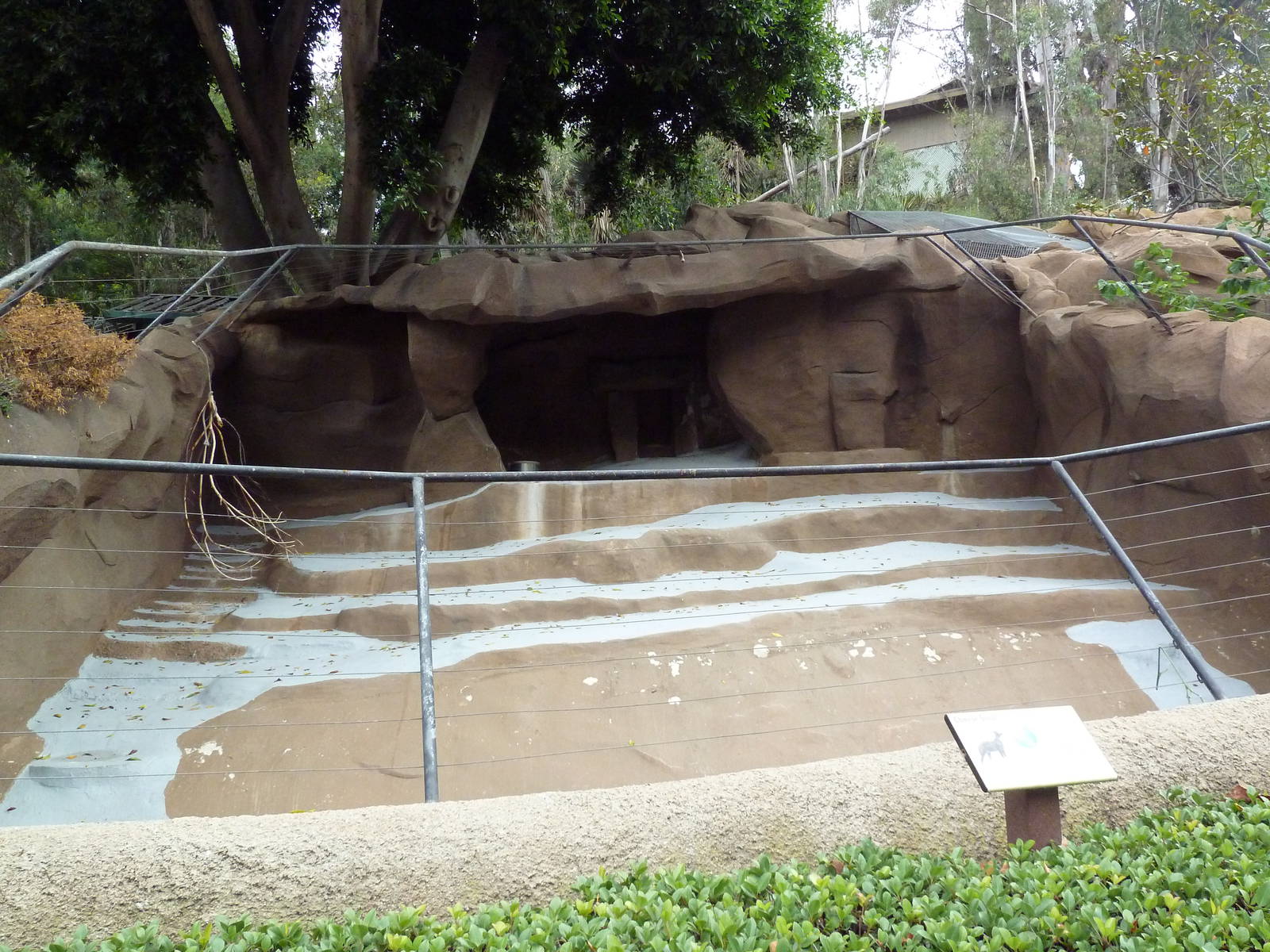 Chinese Goral Exhibit