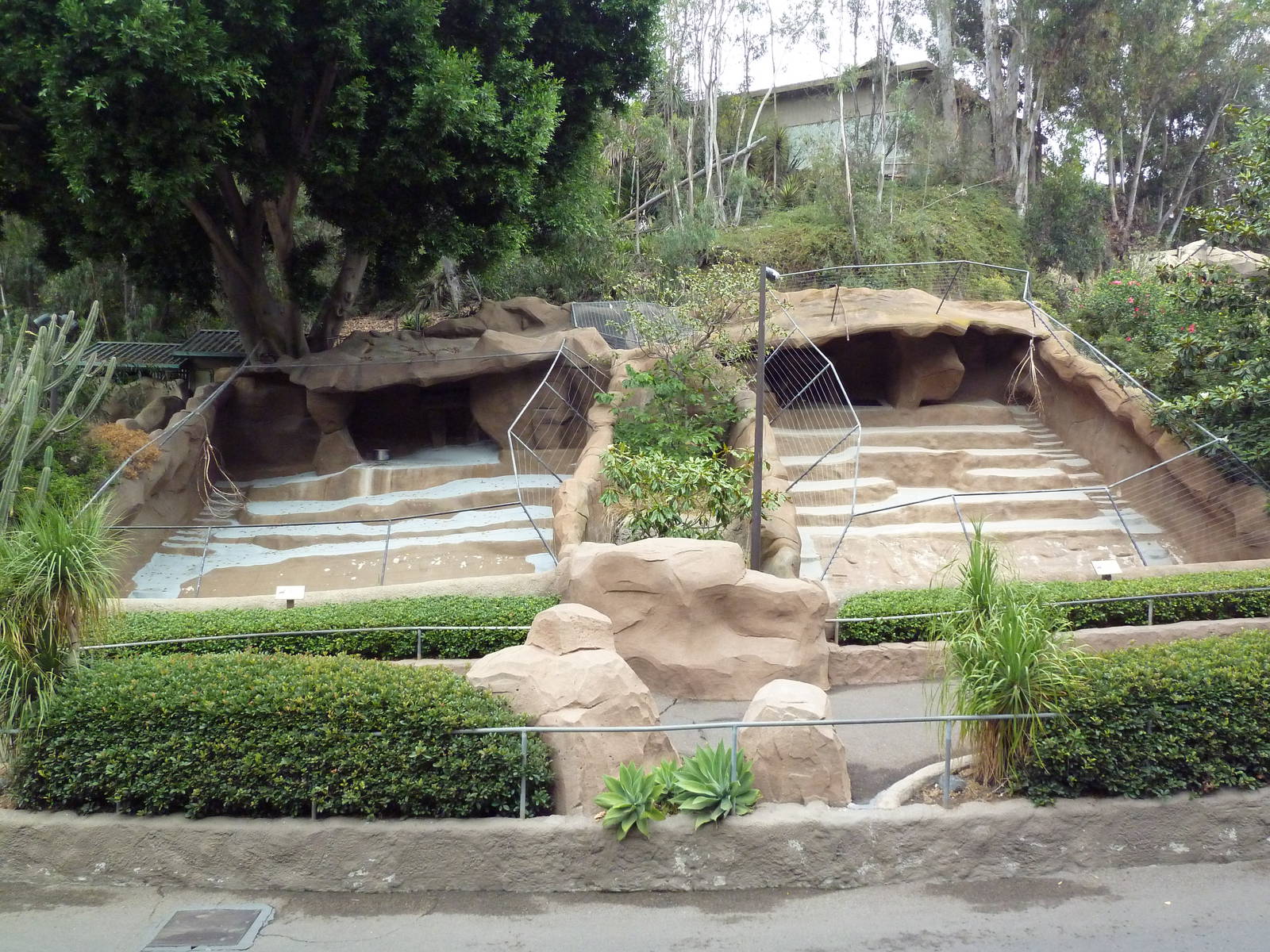 Chinese Goral Exhibits