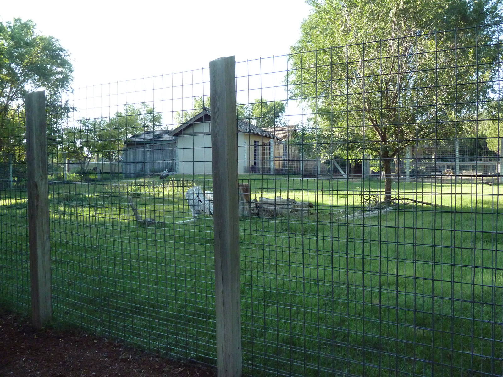 Chinese Goral/Hooded Crane Exhibit