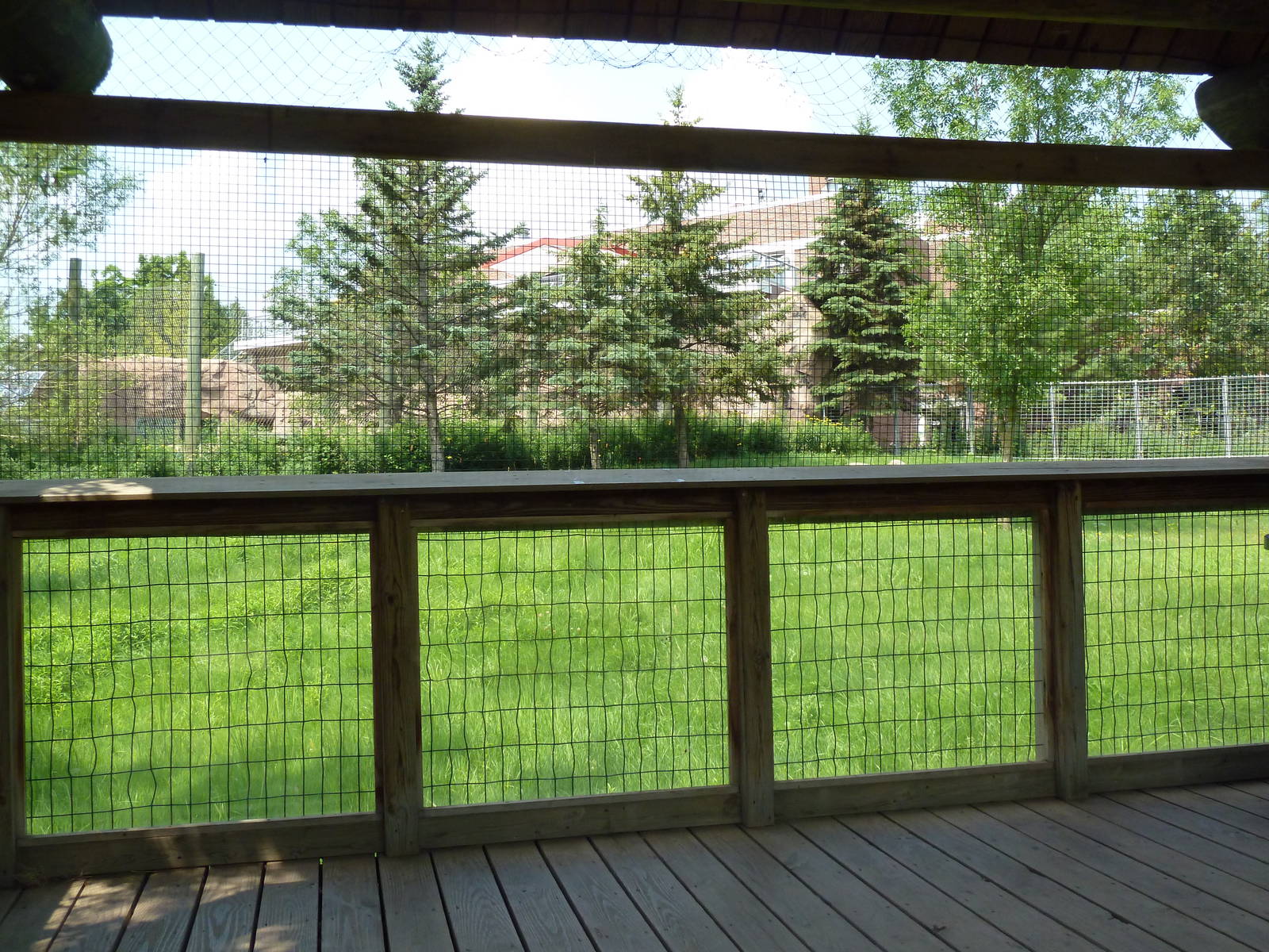 Chinese Goral/White-Naped Crane Exhibit