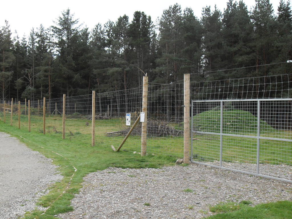 Chinese grey goral enclosure