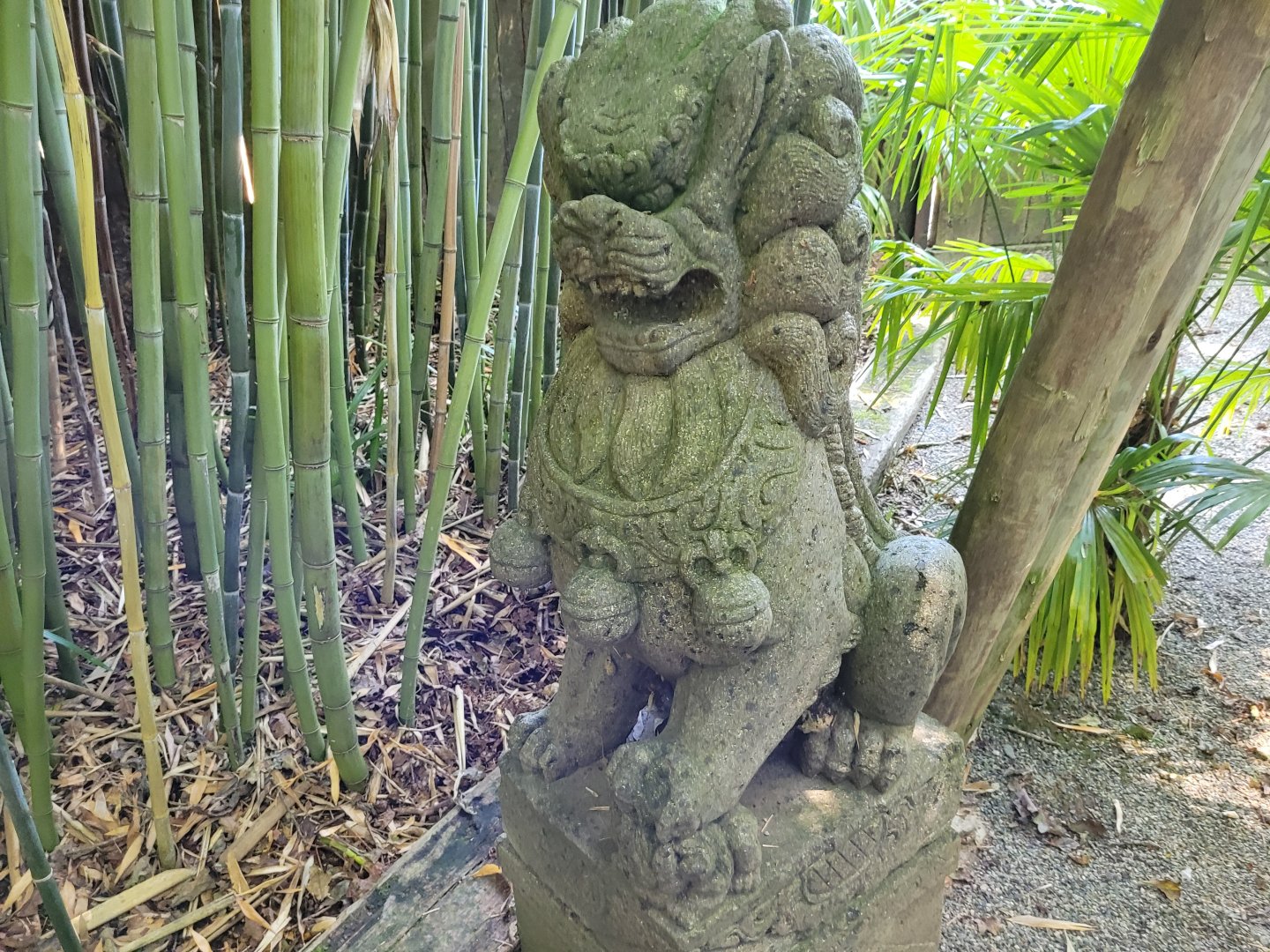 Chinese guardian lion statue -Zoo d'Asson (2022)