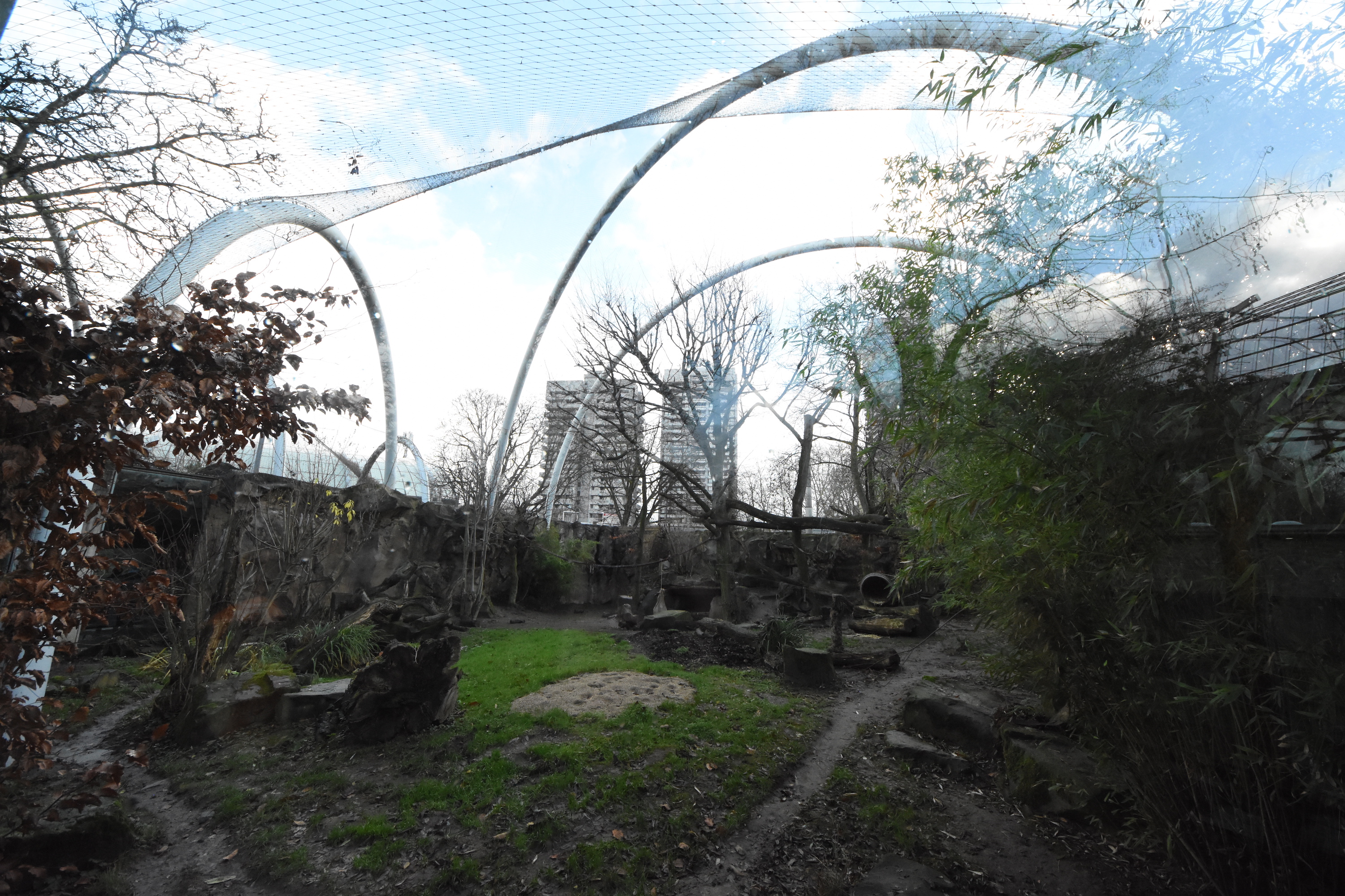 Chinese leopard cage