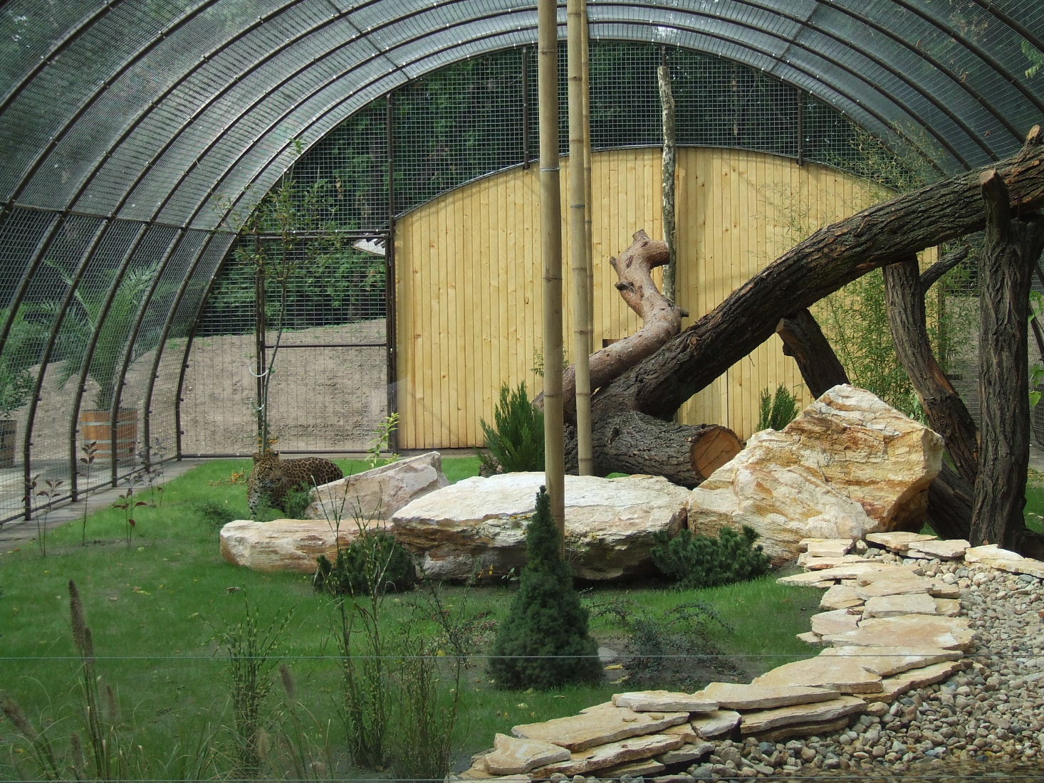 Chinese leopard enclosure @ Debrecen Zoo, Hungary