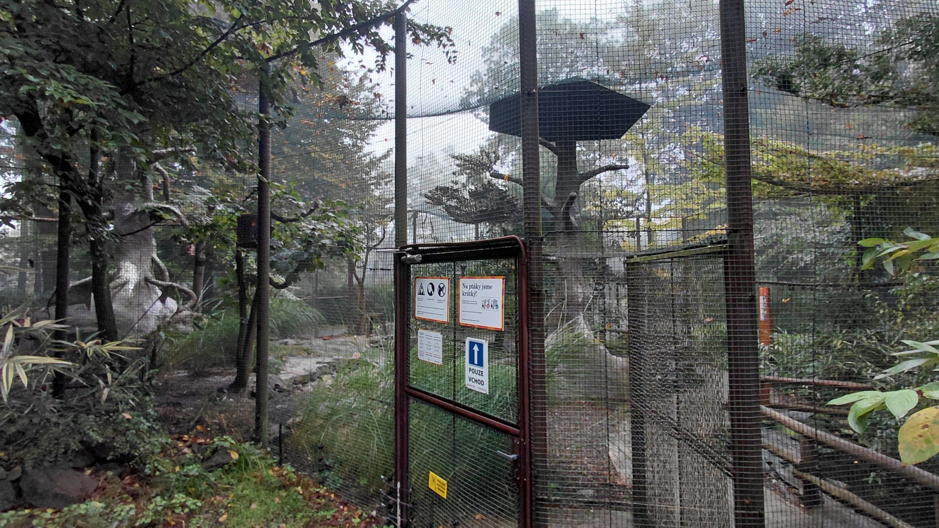 Chinese lowlands walkthrough aviary