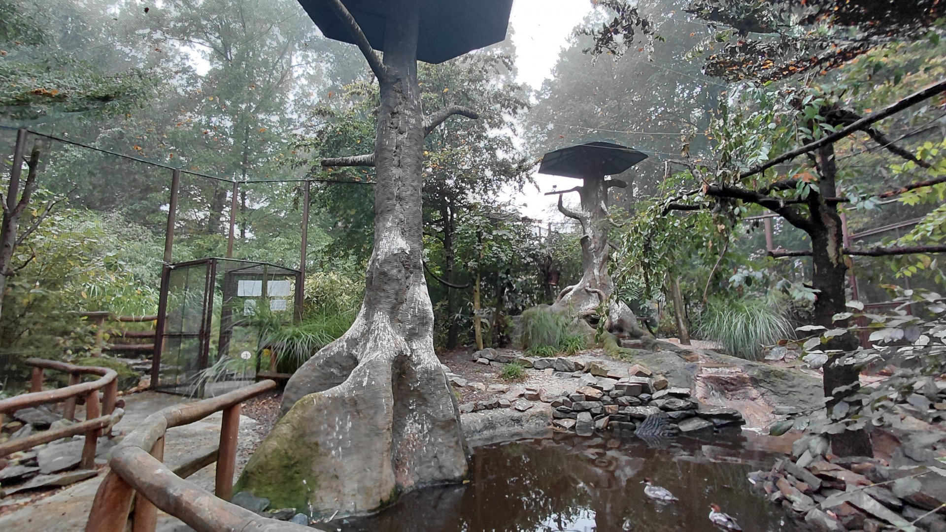 Chinese lowlands walkthrough aviary