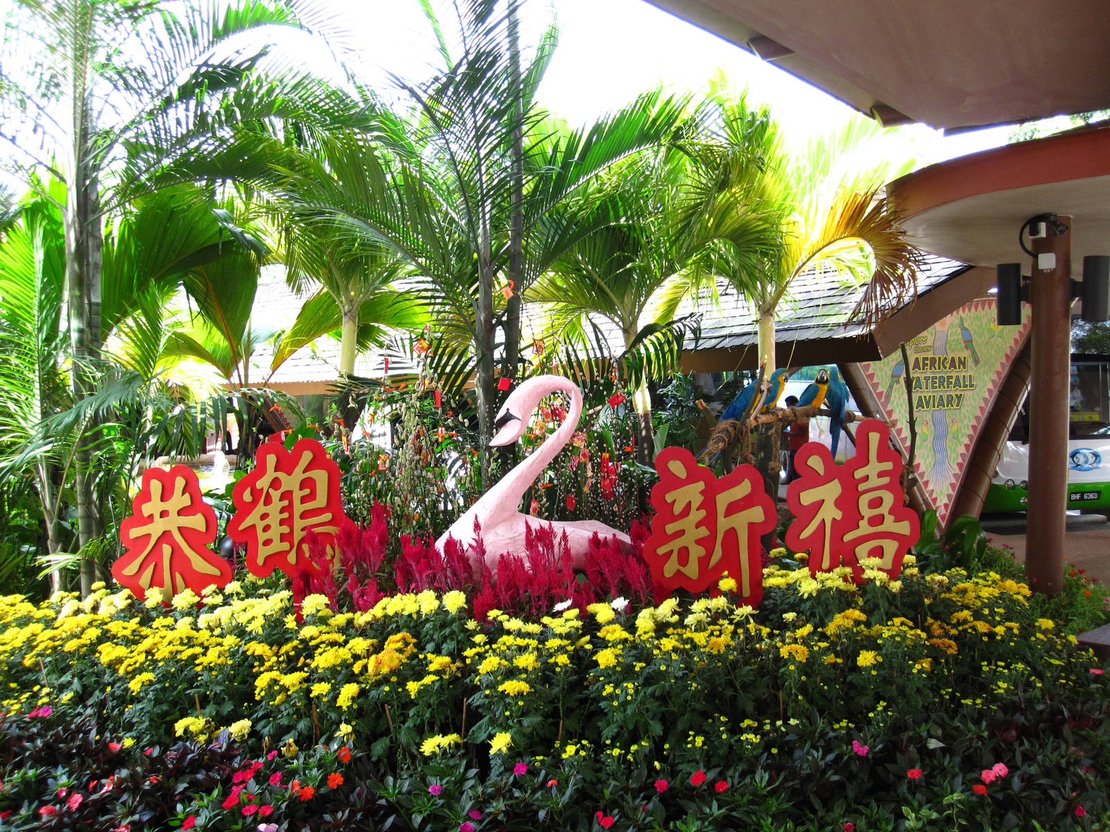 Chinese New Year Celebrations