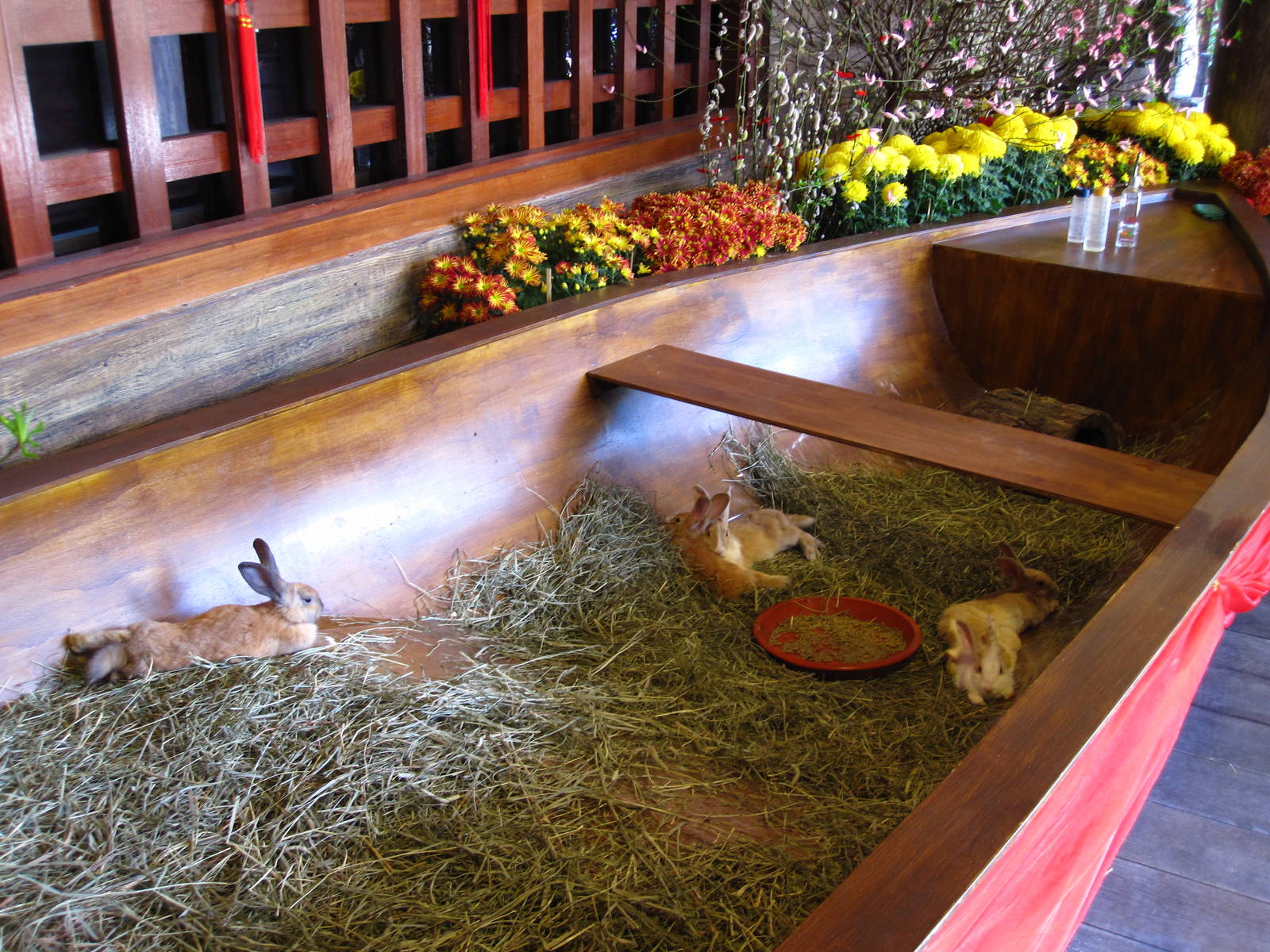 Chinese New Year Celebrations