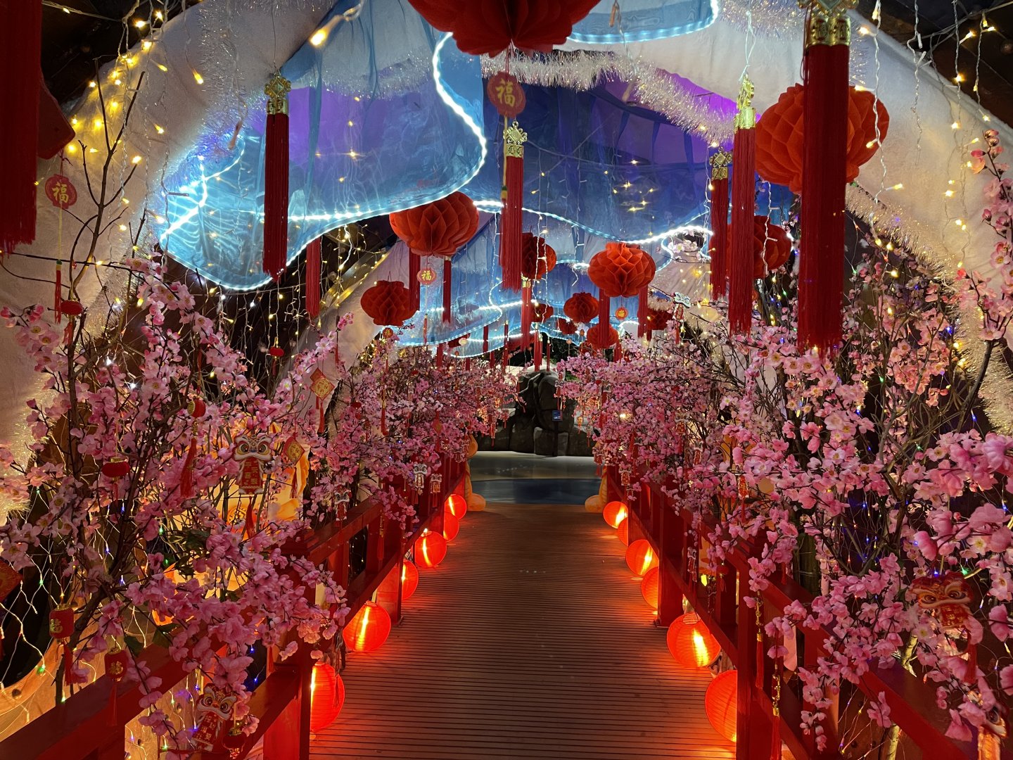 chinese new year themed tunnel
