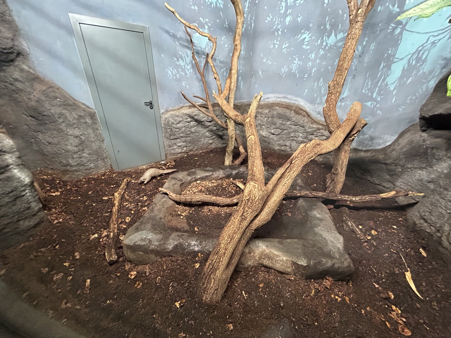 Chinese Pangolin Exhibit (one of several) - Indonesian Jungle Pavillon