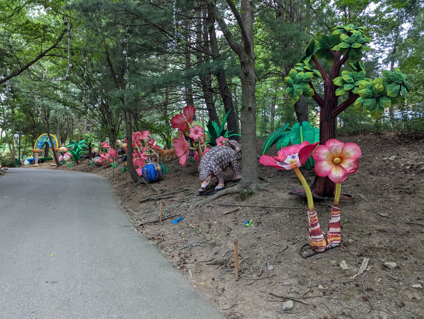 Chinese Pangolin - Lantern Light show