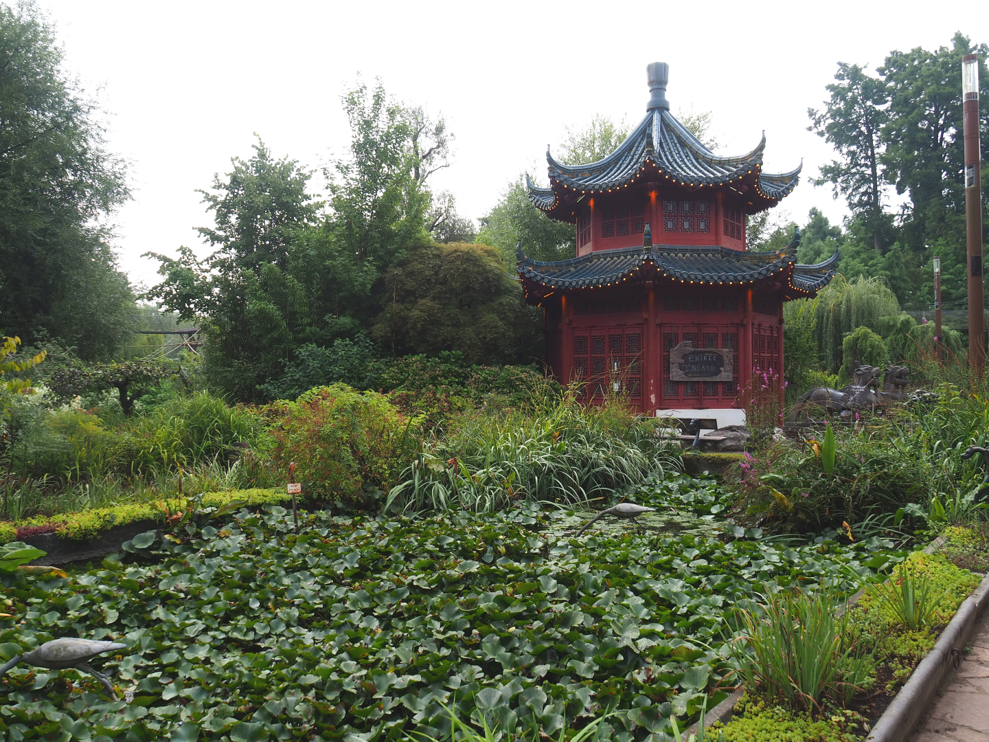Chinese pavilion and water lily pond, 2022-09-15