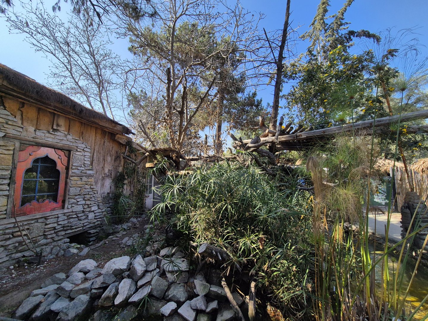 Chinese Red Panda exhibit