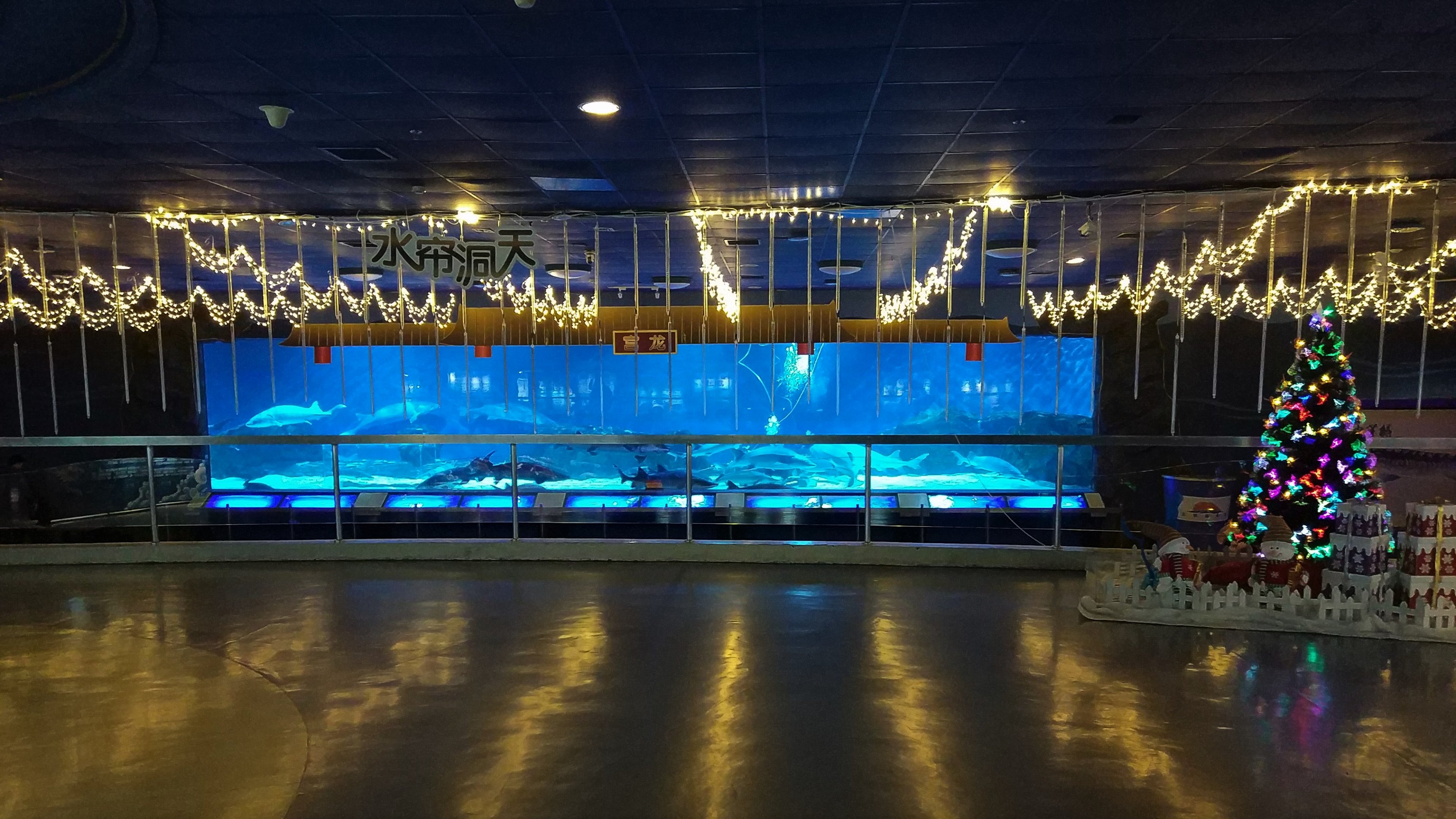 Chinese Sturgeon Hall