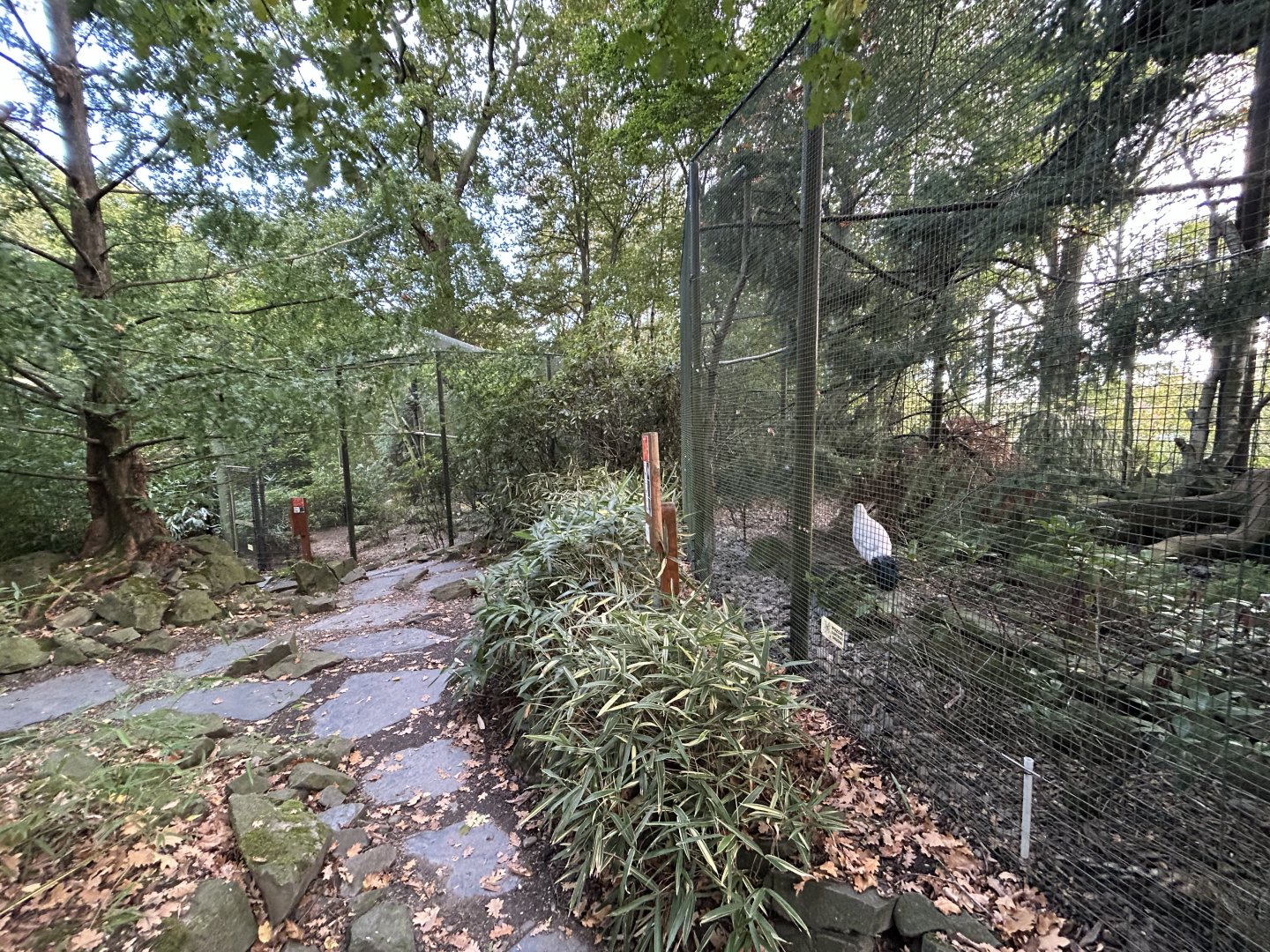 Chinese/Tibetan Bird Aviaries