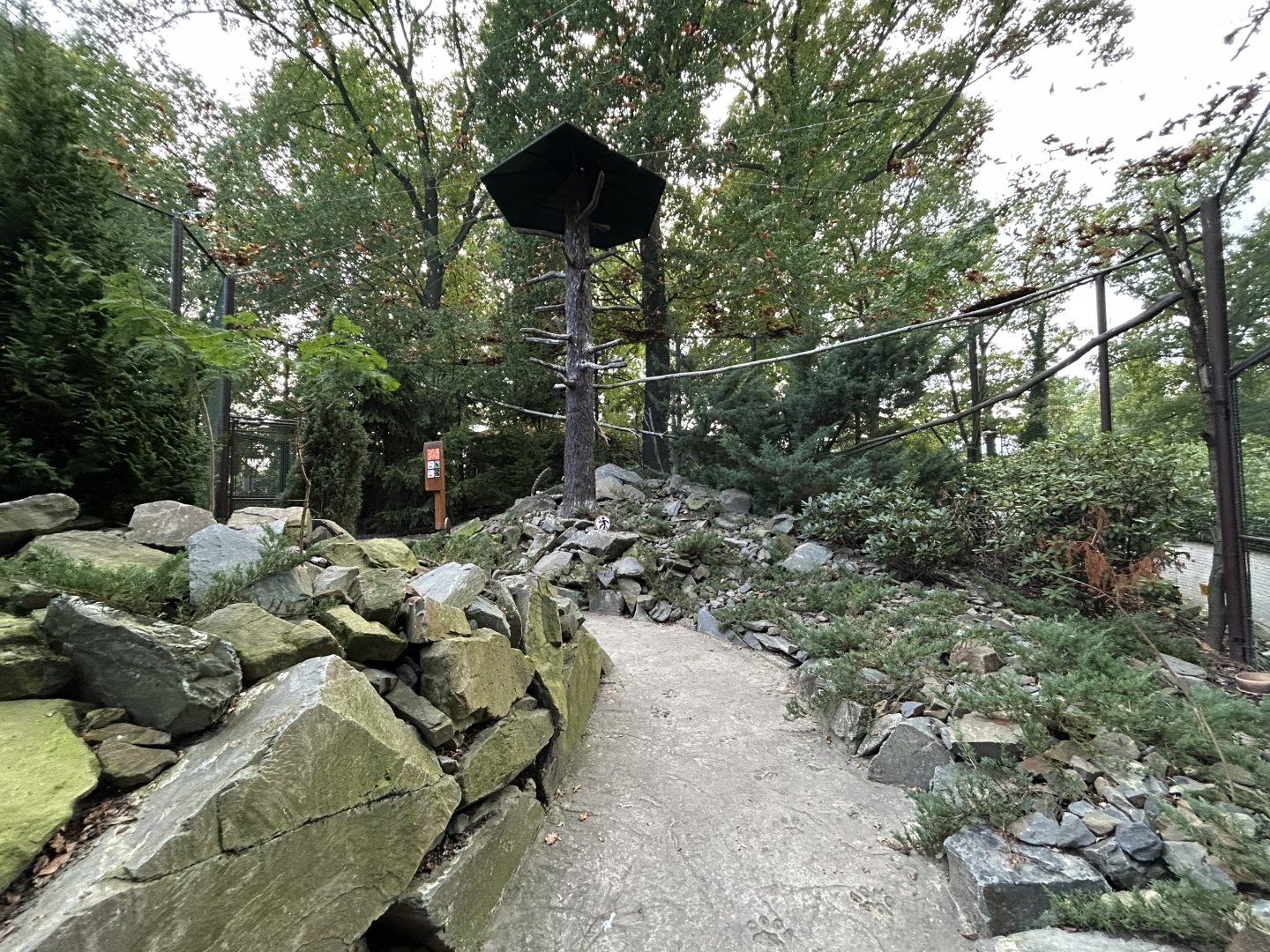 Chinese/Tibetan Walkthrough Aviary #1