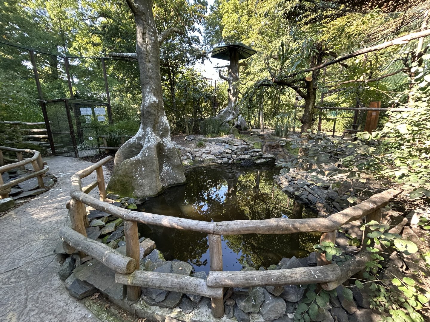 Chinese/Tibetan Walkthrough Aviary #2