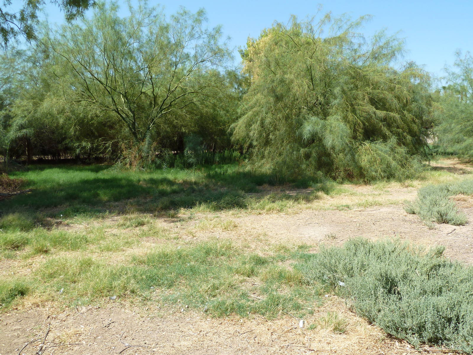 Chinese Water Deer/Blue Crane Exhibit