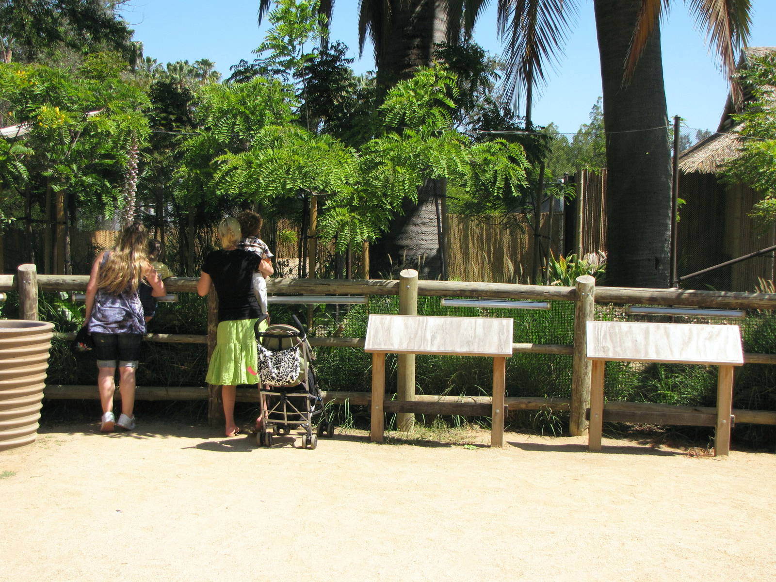 Chinese Water Deer Habitat - Elephants of China