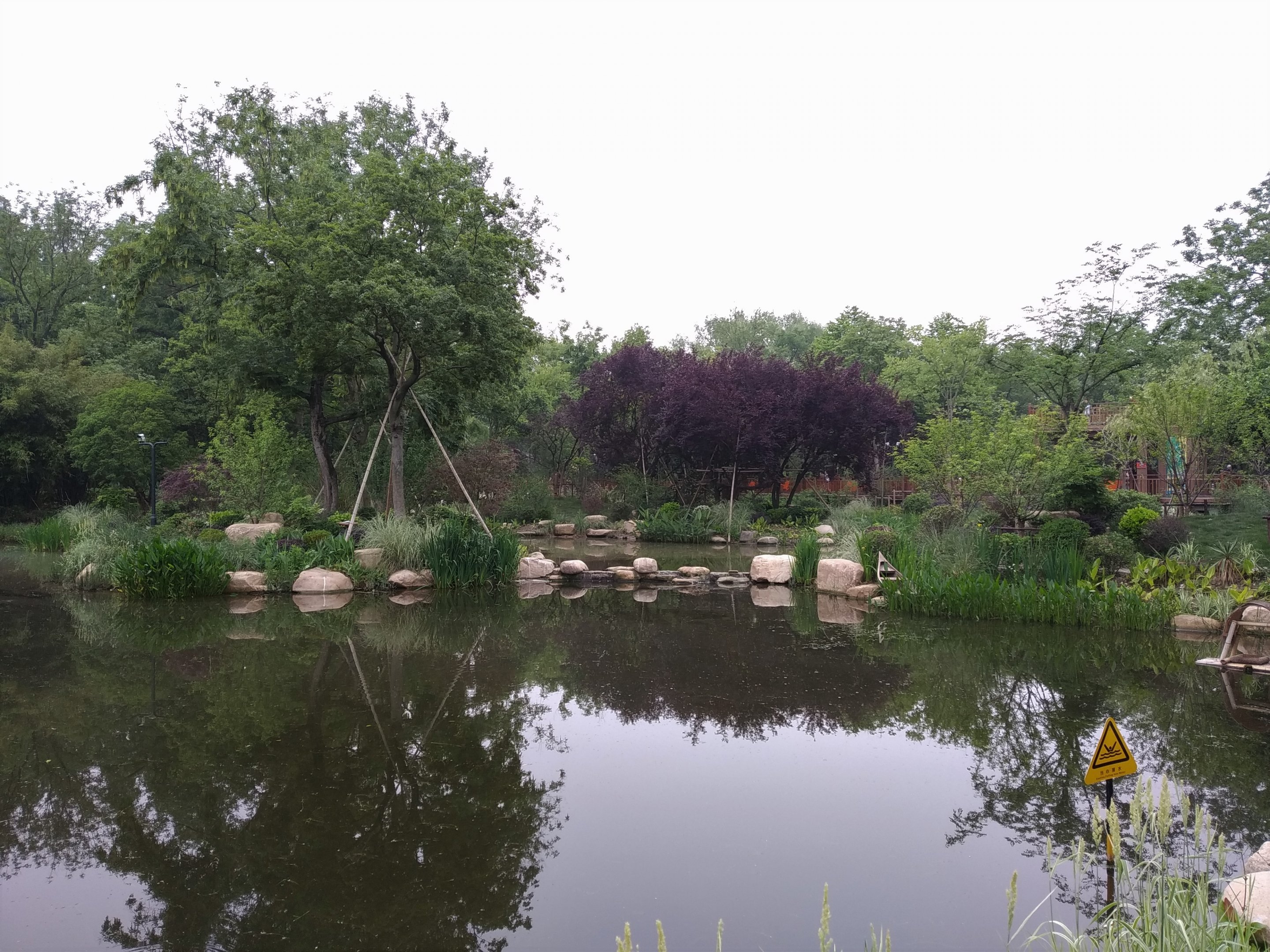 Chinese Wetlands Area
