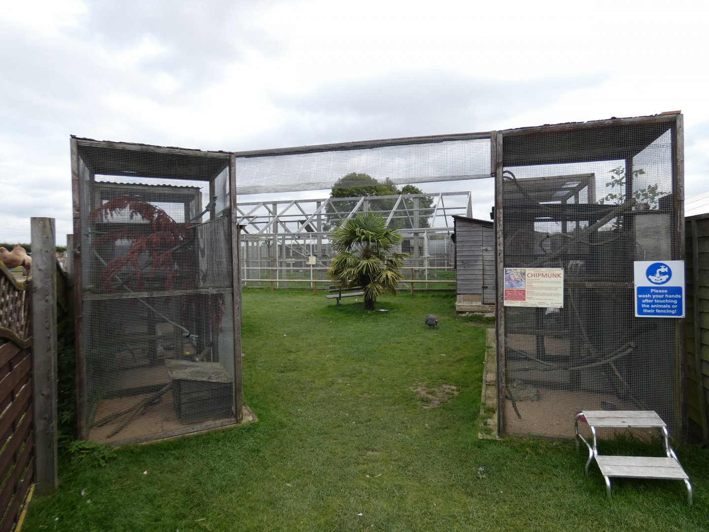 Chipmunk enclosure (Camel Park Oasis)