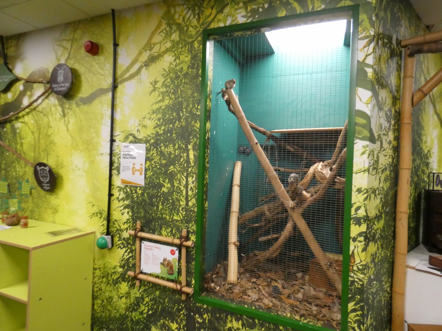 Chipmunk enclosure (Plantasia Swansea)