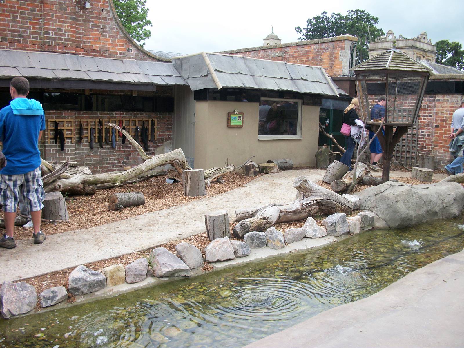 Chipmunk enclsoure - Jungle Kingdom